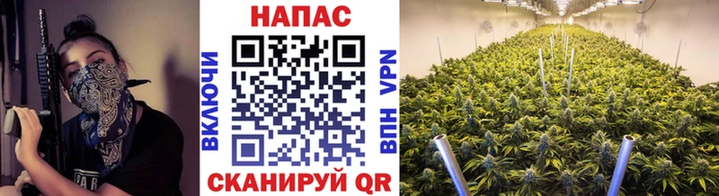 Конопля тримм где найти наркотики Невинномысск